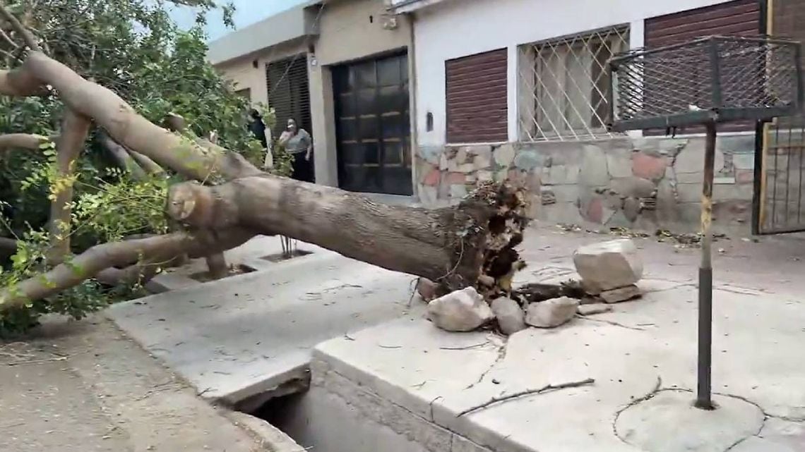 Viento Zonda en Mendoza: suspendieron clases del turno tarde en tres localidades