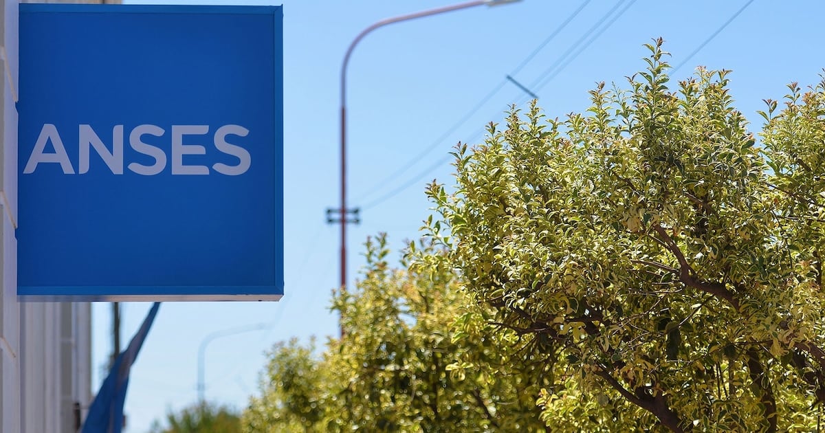 ANSES completa el calendario de agosto con los pagos a jubilaciones y seguro de desempleo
