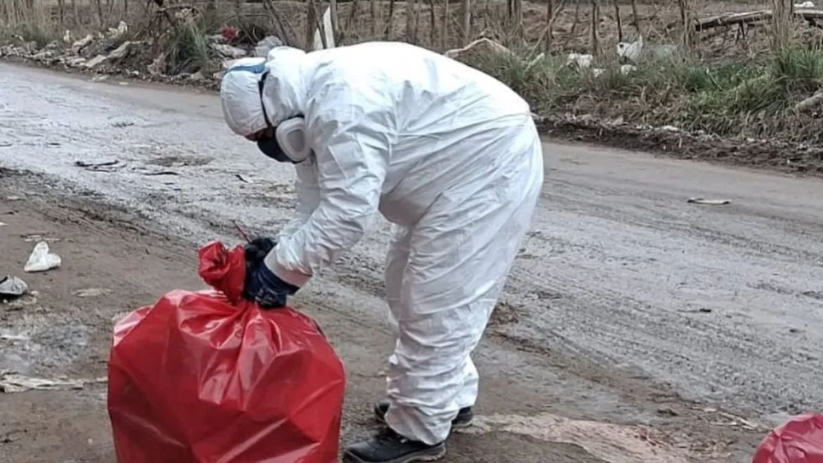 Más de cien kilos de carne podrida abandonados en una calle rural sacudieron a Valentina Sur y obligaron a montar un operativo de cuatro horas