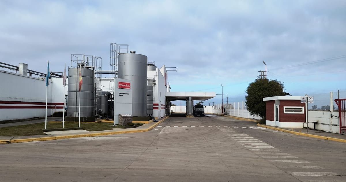 Verónica vende dos plantas a firmas que ya operaban en sus galpones y obtiene apenas uno de cada cinco pesos que debe