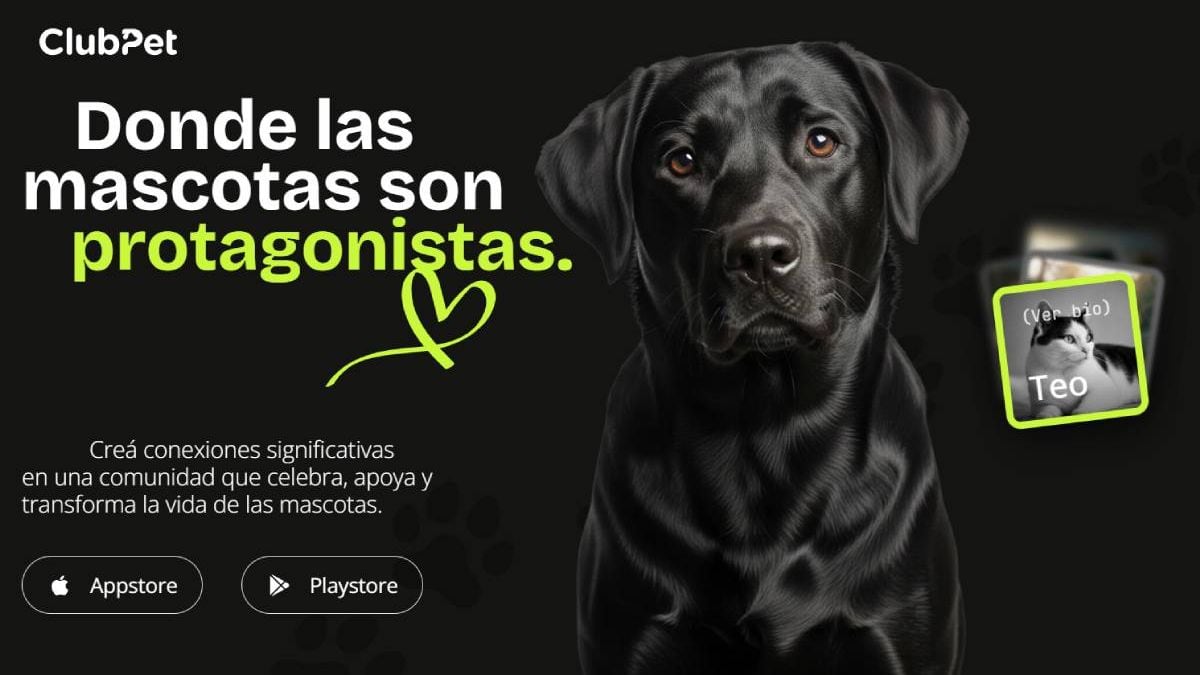 Una noche en el Pacífico: adoptar, descargar una app y, de yapa, quedarse a ver el básquet