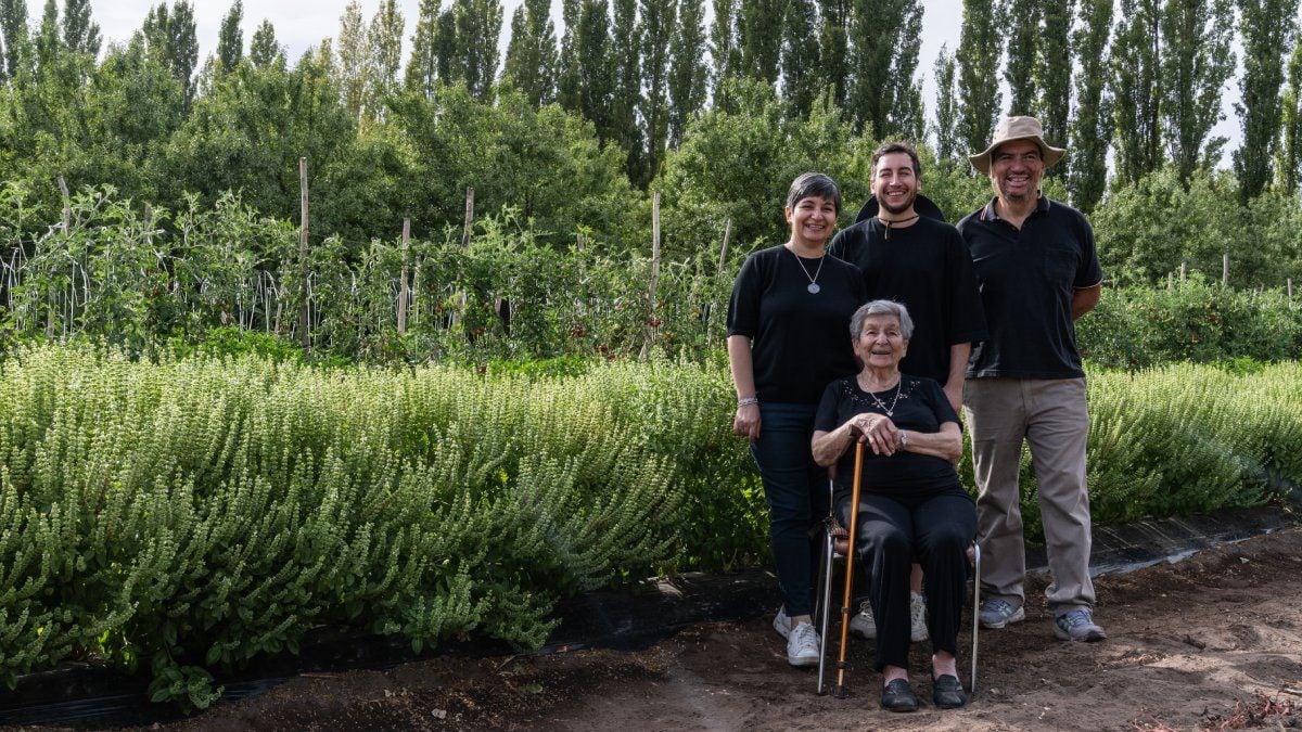 Del reverso de un comprobante a las góndolas: una salsa con cuatro generaciones y un papelito que lo cambió todo