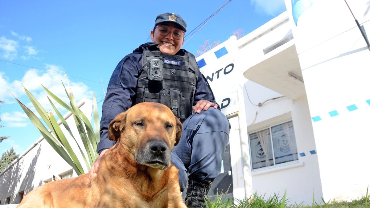 Puchero, el compañero de cuatro patas que lleva más de una década patrullando Neuquén en bicicleta