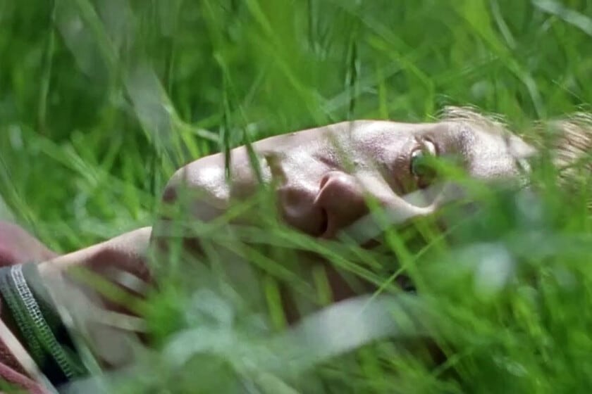Tres épocas, un mismo árbol: el cine contemplativo de Ildikó Enyedi vuelve a poner el mundo vegetal en el centro de la escena