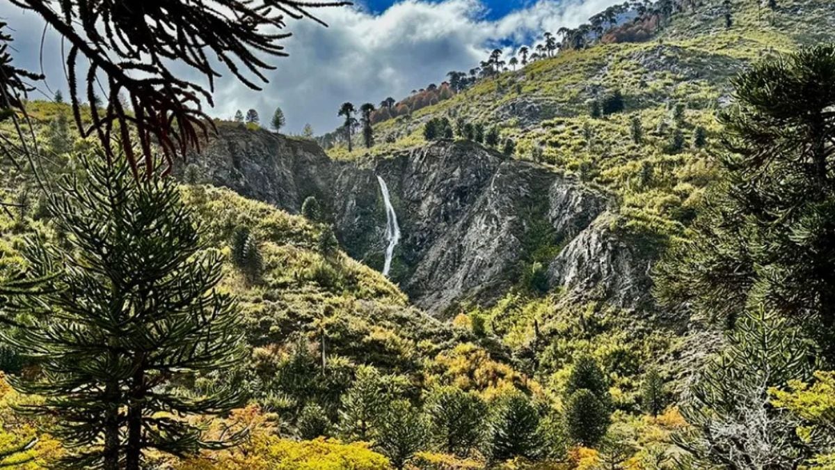 Cuidado con los lotes de Pulmarí: el organismo interestadual salió a despegarse de las ofertas que circulan en la zona