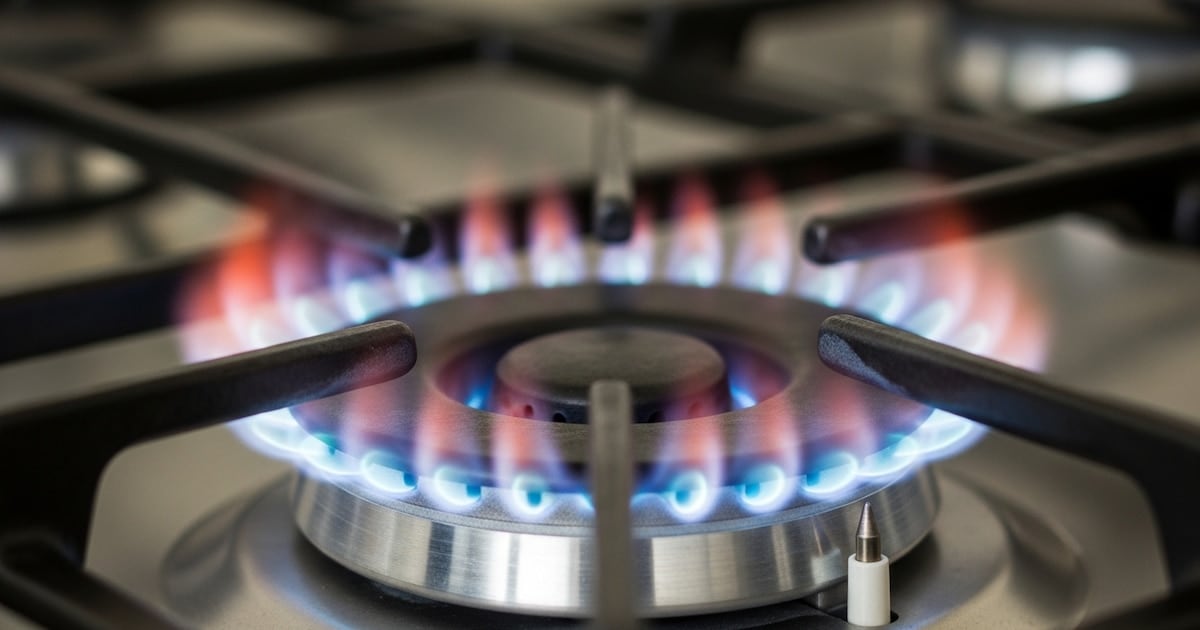 Servicios públicos en agosto: la brecha entre usuarios con y sin subsidio rozó el 103% en la factura eléctrica del AMBA
