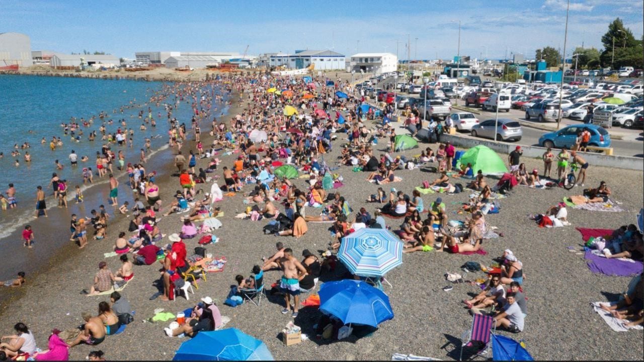 Comodoro Rivadavia se prepara para una temporada histórica: ballenas sei a la vista desde febrero de 2027