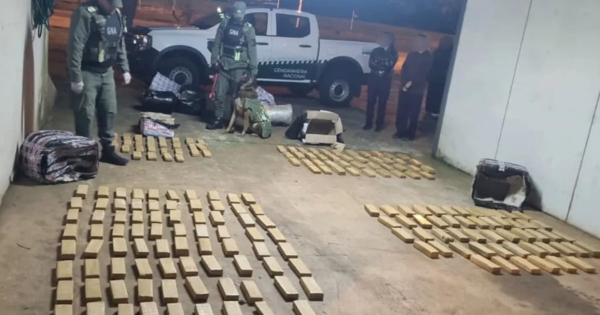 Gendarmería secuestró más de 142 kilos de marihuana en un ómnibus que iba de Misiones a Buenos Aires