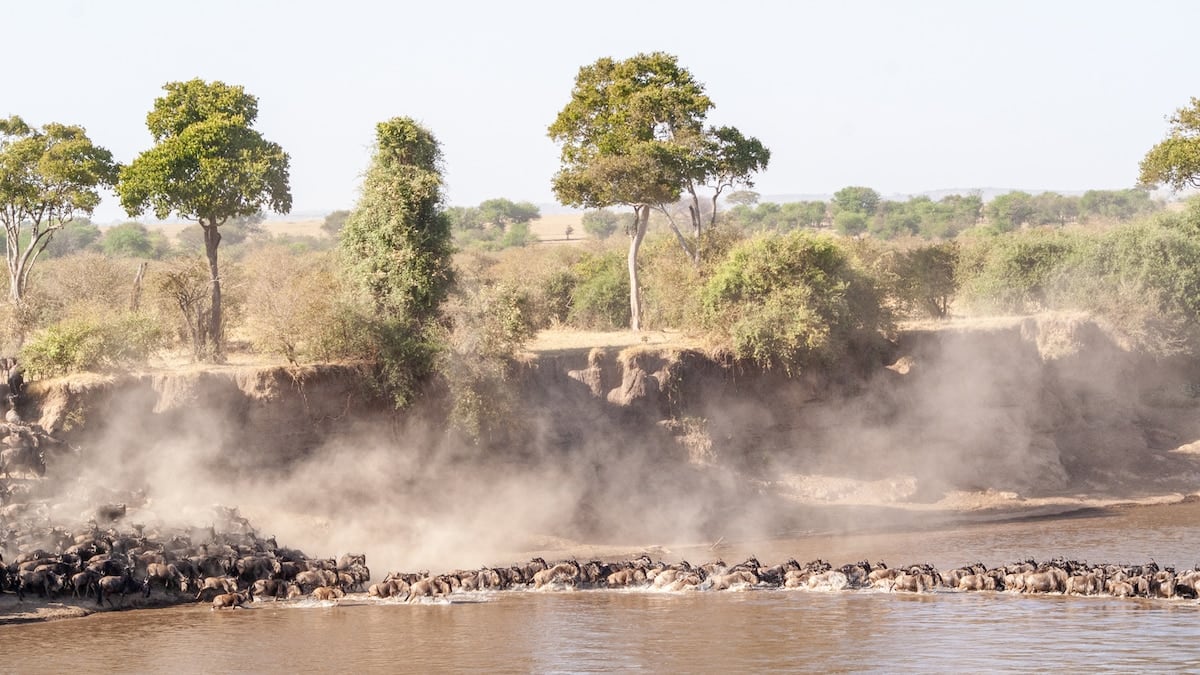 Entre baobabs, manadas y cráteres: el safari completo por el norte de Tanzania