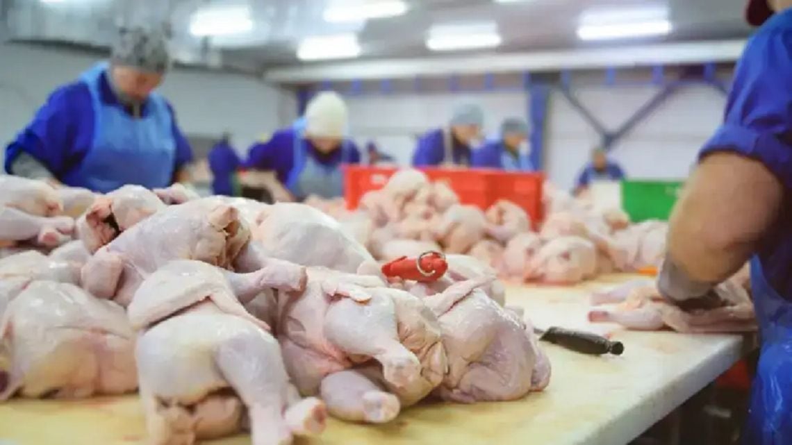 La carne aviaria desplazó a la vacuna en la mesa de los argentinos: la diferencia de precios fue determinante