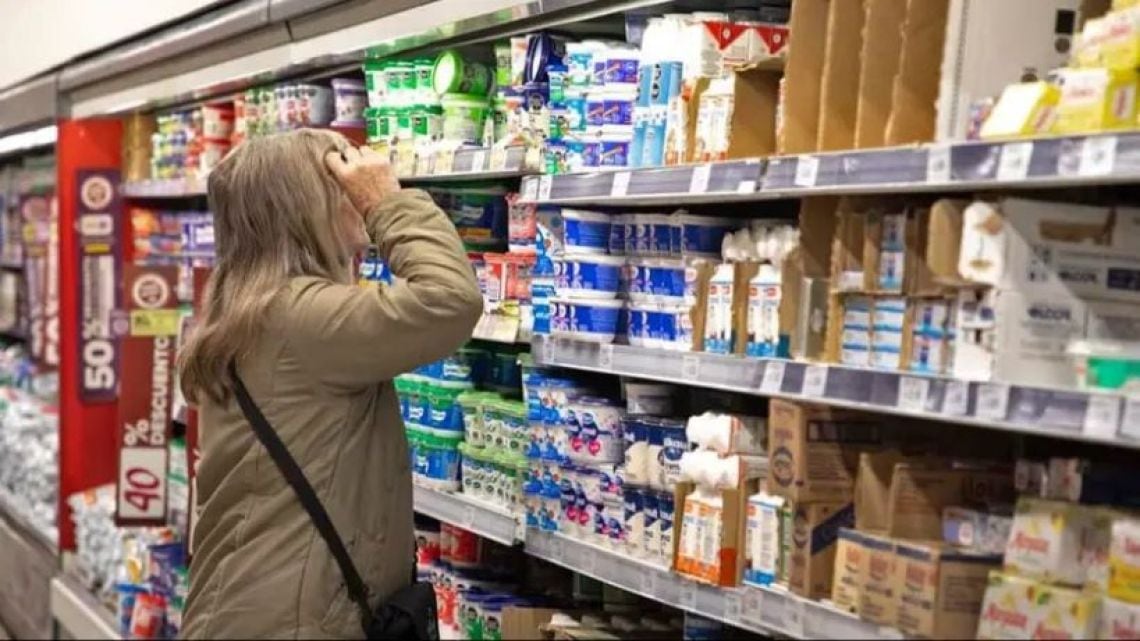 Ocho de cada diez hogares debieron financiarse alimentos en el noveno mes del año, según el IETSE