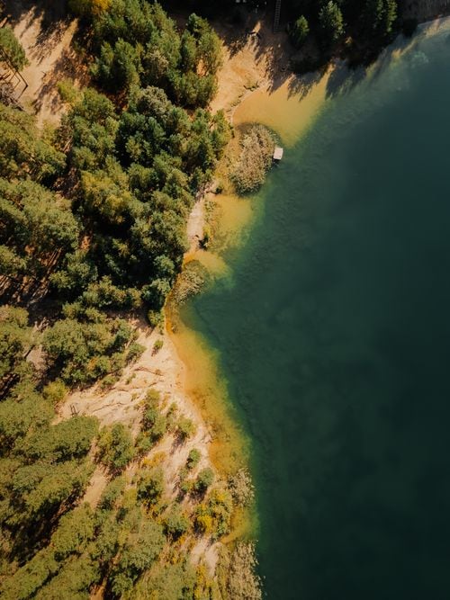La isla Santa Teresita: navegación, bosque y fe en el corazón del lago Lácar