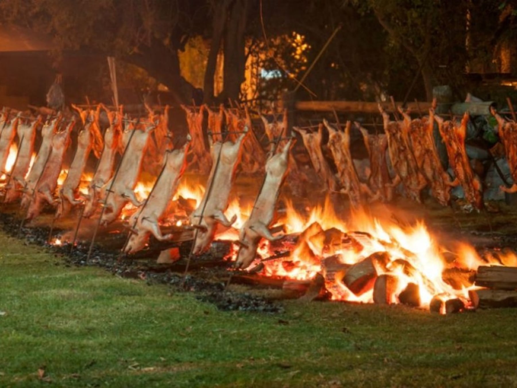 Cinco fiestas, un solo fin de semana largo: la guía para recorrer la provincia de Buenos Aires entre el 10 y el 12 de octubre