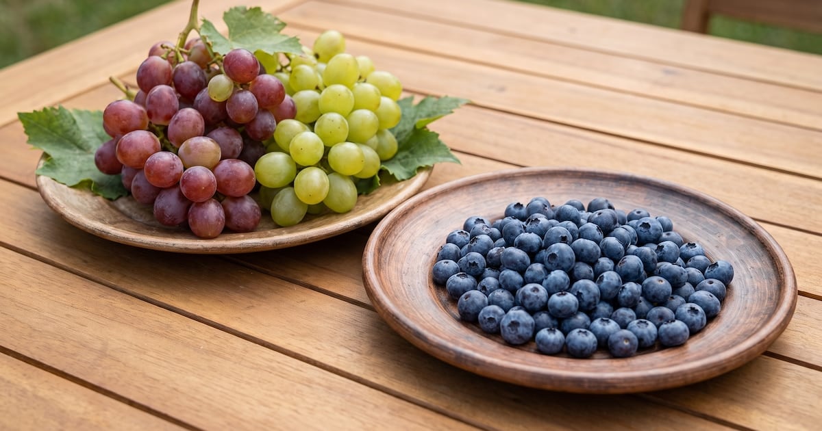 Arándanos y uvas en la mesa cotidiana: por qué no todas las frutas juegan el mismo partido con el azúcar en sangre