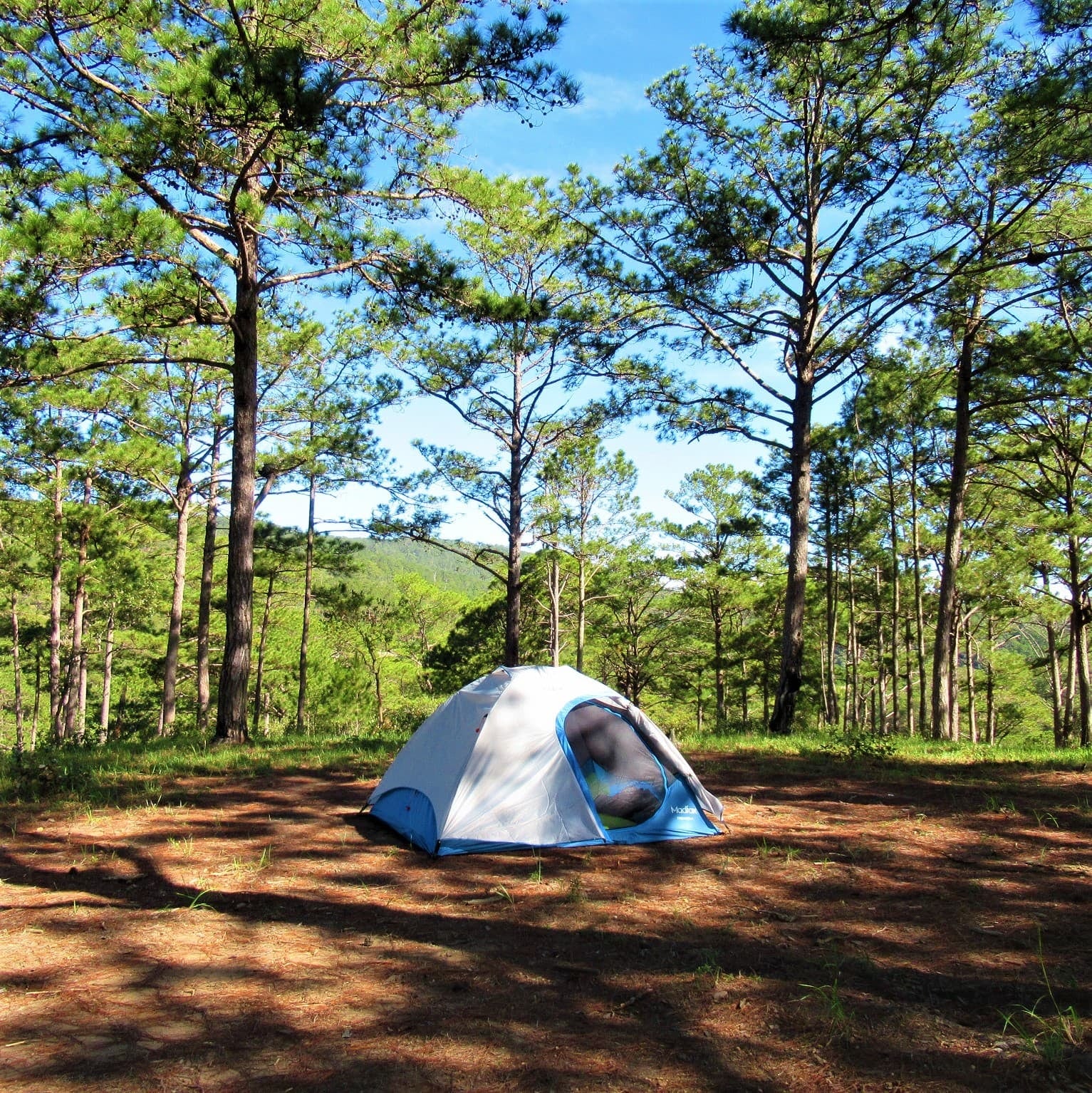 Un camping francés con bosque y mar se instala en Mar Azul